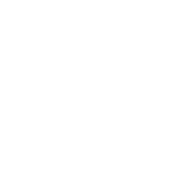 shape